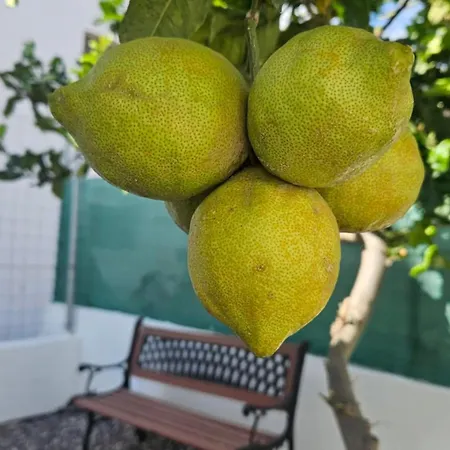 Дом отдыха Casa Tina *