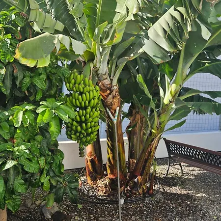 Casa Tina Feriehus *