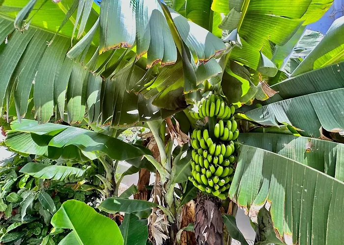 Ferienhaus Casa Tina