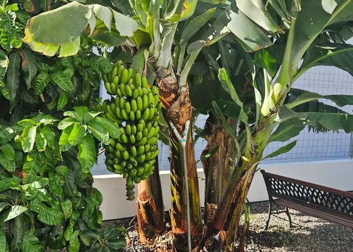 Casa Tina Ferienhaus *