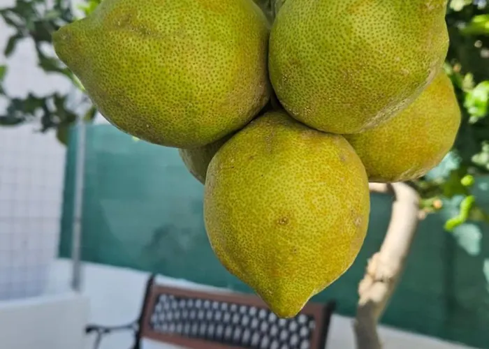 Ferienhaus Casa Tina *